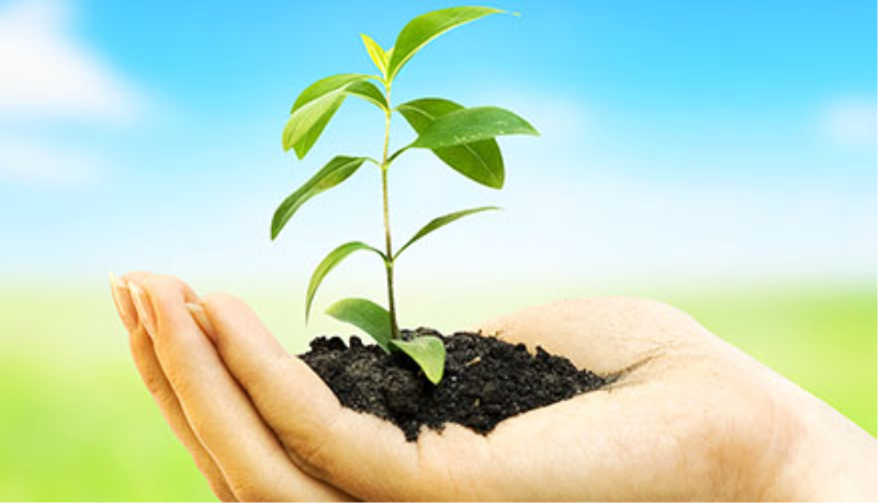 Convocação de biólogo e fiscal agilizará licenciamentos ambientais